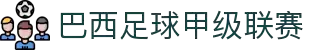 巴西足球甲级联赛 - 官方中文网站